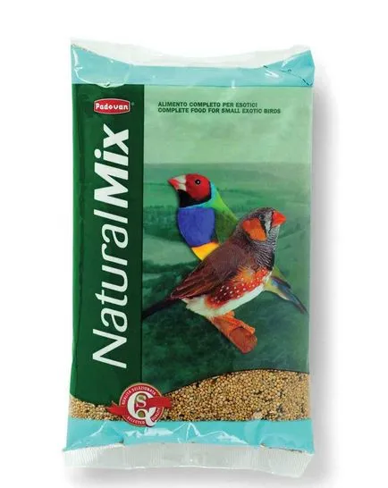 Чинки, чинка грижи, закупуване чинка
