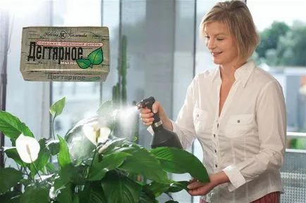 Whitefly контрол на вредителите летящи насекоми