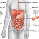 Болка в епигастриума - това, което тя казва, (болка в епигастриума) Болка в епигастриума - това, което казва