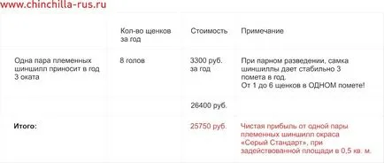 Бизнес за чинчили