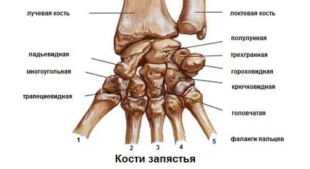 Болки в дясната китка, какво да правя, защото (вдясно) Болки в дясната китка, какво да правя, за причините