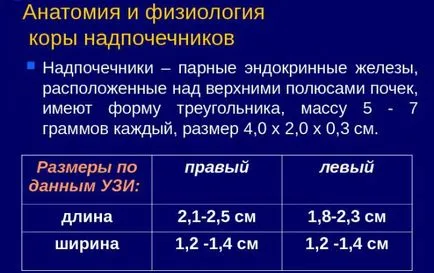 болест на Адисон - какво е това, симптомите на заболяването при жените