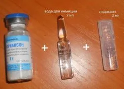 Ceftriaxone за котки