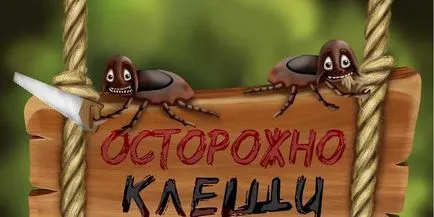 Как бързо да кърлежи и как ефективно да ги унищожи