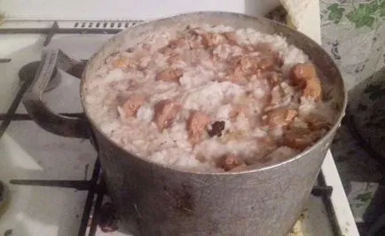 Какво и как да се хранят алабай диета на малки кученца и възрастни кучета