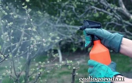 Бордо смес