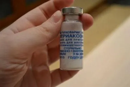 Ceftriaxone за котки инструкции за употреба, доза, състав и коментари