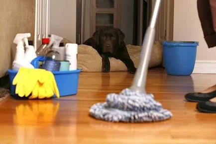 балатум за пране, така че винаги блестеше като нов