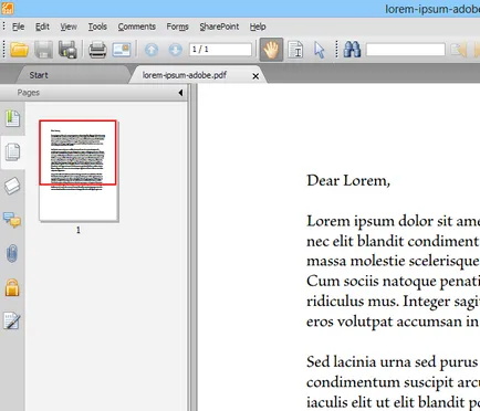 Как да отворите PDF-файл