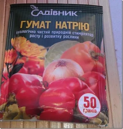 Дървото на фуражите ябълка през пролетта, лятото и зимата