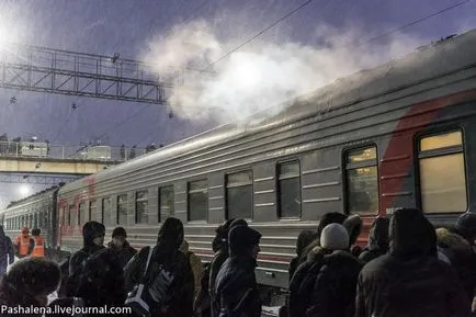 Четири дни в резервирания седалката, или 20 митове за дълго пътуване с влак - новините в снимки (влак) Четири дни в резервирания седалката, или 20 митове за дълго пътуване с влак - новините в снимки