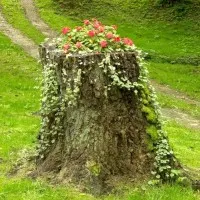 Какво е необходимо, за да купуват, за да имат дете