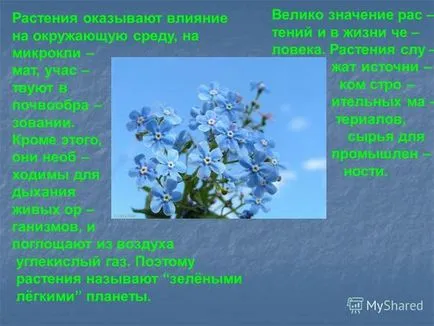 Това се абсорбира от растенията от околната среда по време на дишане - метаболизъм, бърз предизвикателство