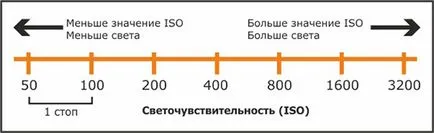 Какво е ISO в камерата, и как да го конфигурирате правилно