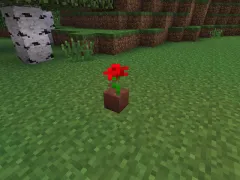 саксия