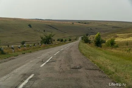 Divnogorie в Воронеж област - снимката и как да стигнем до там с кола