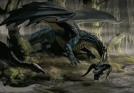 Dragon снимки