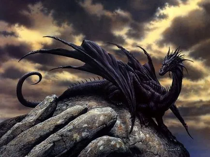 Dragon снимки