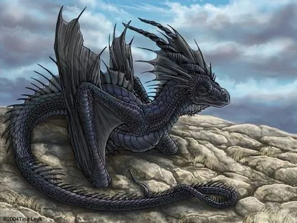 Dragon снимки