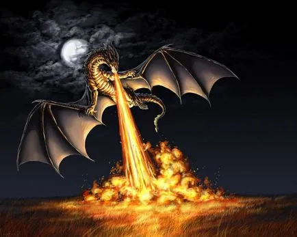 Dragon снимки