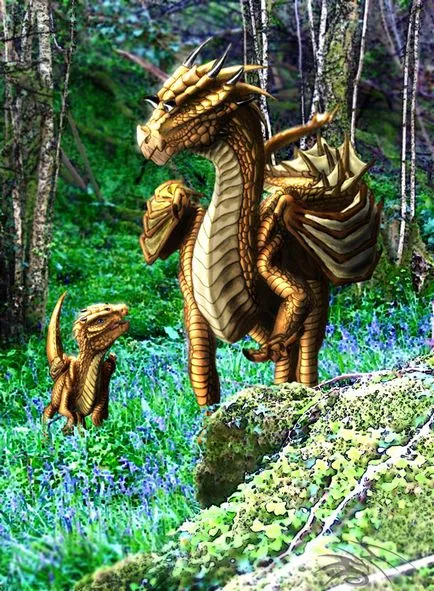 Dragon снимки