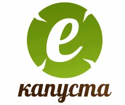Как да се заемат в ПФИ на киви в чантата