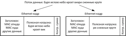 Ethernet - какво е това, кой е измислил и как работи, го изразя