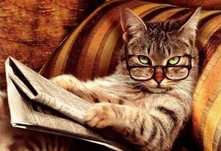 Eshkin Cat 3 варианта декриптират популярна фразата