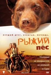 Филми за кучета да гледате онлайн безплатно