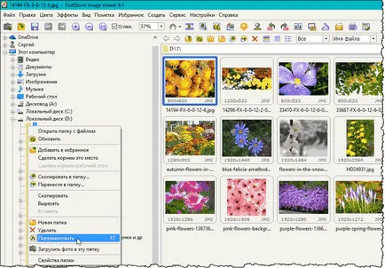 FastStone Image Viewer - каква програма