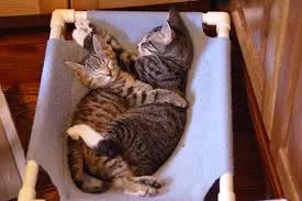 Хамак да Cat