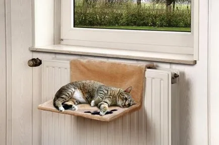 Хамак за котки с ръцете си 7 начина градските котки
