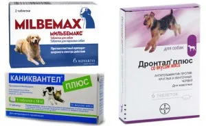 Привикване към антихелминтиците за списък кучета на добри ресурси Привикване към антихелминтиците за списък кучета на добри ресурси