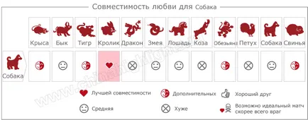 Година на хороскопа Dog, 2018, която животните