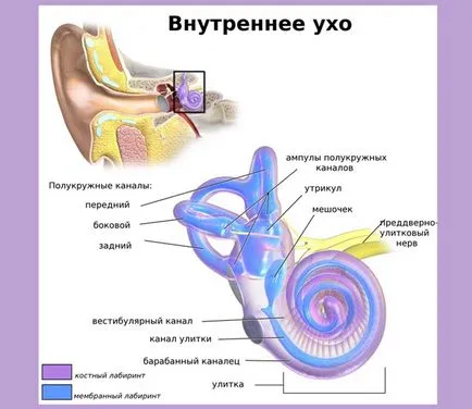 Vertigo сутринта причините, тригери, лечение