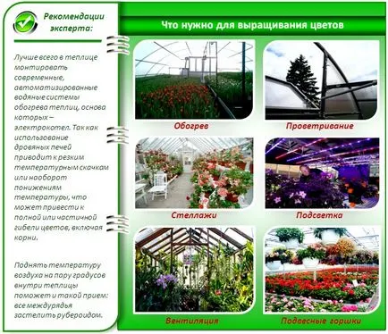 Идеалният оранжерията за цветя всичко за отглеждане на цветя в оранжерии