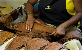 История COHIBA марки (Cohiba)