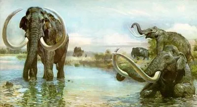 Историята на развитие на планетата Земя