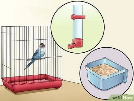 Как да спечелим доверието на вашия Budgie (клетка Push нежно) Как да спечелим доверието на вашия Budgie
