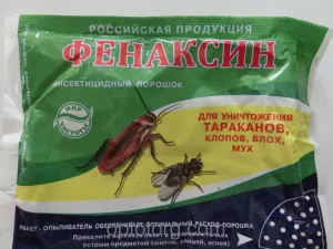 Как ефективно да донесе бълхи при котки вкъщи какво и как се извършва