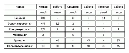 Как и какво да се хранят на коня (кон) Как и какво да се хранят на коня