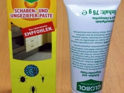Как да се отървем от въшки в дома на ефективно средство за борба