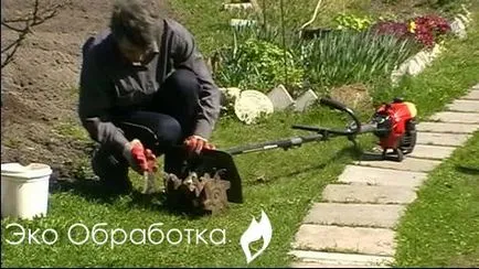 Как да се отървете от плевели и трева на сайта завинаги