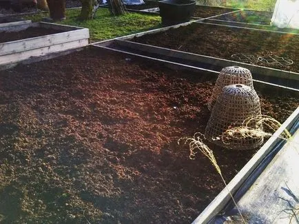 Как да се отървете от плевели в страната означава добра трева
