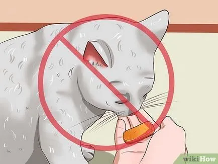 Как да се отървем от котките