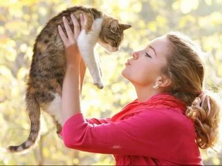 Като котка вижда господаря си