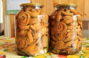 Как може сол гъби вкусни домашни съставки и рецепти, функции и осоляване