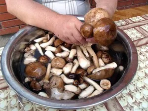 Как може сол гъби вкусни домашни съставки и рецепти, функции и осоляване