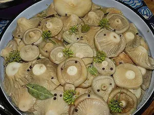 Как може сол гъби вкусни домашни съставки и рецепти, функции и осоляване