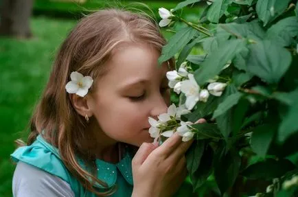 Как да моментално презареждане